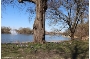 Fontäne auf dem Knieperteich I