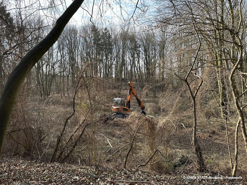 Rostocker Werk - Arbeiten im wilden Dickicht