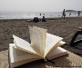 Sommerlektüre für Strand und me(e)hr