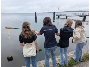 Ozeaneum - Keschern im Strelasund