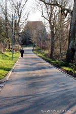 Die neue Dorfstraße mit Blick zur Kirche Die neue Dorfstraße mit Blick zur Kirche